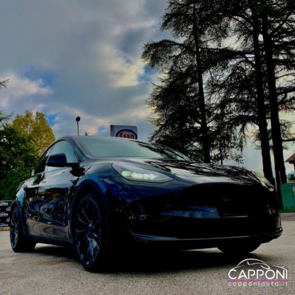 TESLA Model Y - Performance AWD - immagine 3