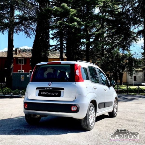 FIAT Panda - 1.2 - immagine 4
