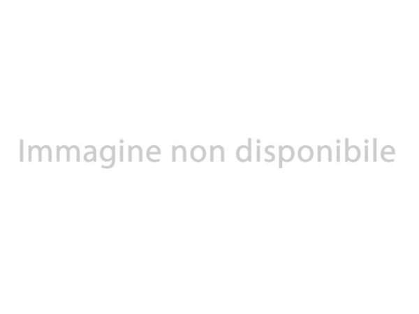 AUDI Q2 - 1.6 TDI   automatica - immagine 10