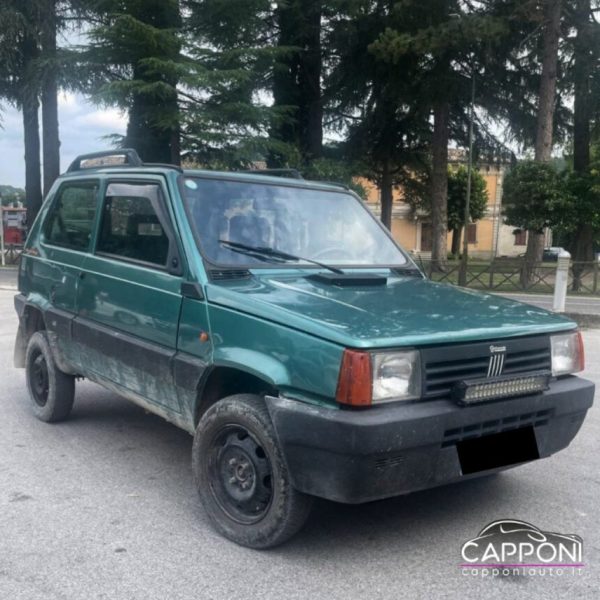 FIAT Panda - 1ª serie 1100 i.e. cat 4x4 Trekking GPL MOTORE R.