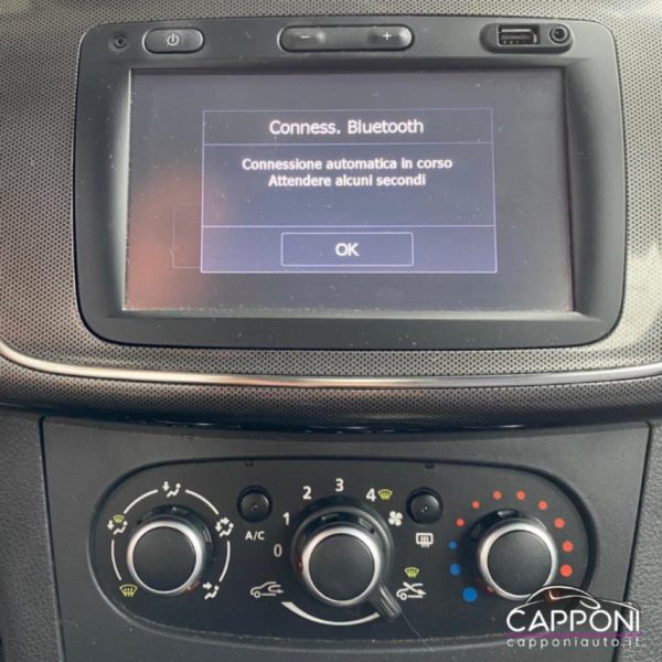 DACIA Sandero - Stepway 1.5 dCi - immagine 9